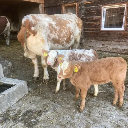 Kramserhof Apartament *