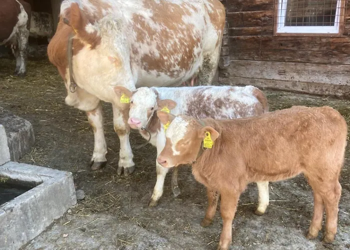 Kramserhof דירה *