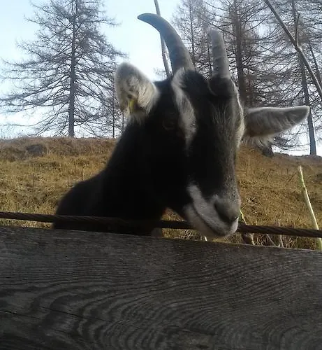 Apartment Kramserhof